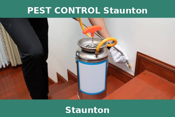 PEST CONTROL Staunton